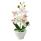 Bulevisiter Künstliche Seidenphalaenopsis-Orchidee, Bonsai, Topfpflanze, Blumendekor für Zuhause und Büro, mit 27 cm Höhe und 12 cm Durchmesser für Weihnachten, Valentinstag und (C)