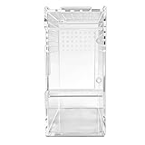 Terrarium Für Spinnen - Reptilienbecken Mit Klarer Belüftung | Mit Belüftungsöffnungen Und Schiebedeckel Als Spinnen Käfig,Auch Für Krabben Pflanzen Und Terrariumsand Geeignet