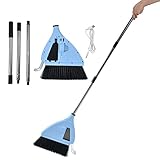 2-in-1 Akkubesen kabellos, Akku-Kehrbesen für Teppiche, kabelloser Waschsauger mit Verstellbarer Stiel, für Hartböden, Tierhaare, Kurzhaarteppich