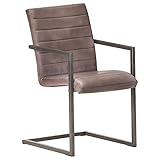HETFTJN Stuhl Küche Armlehnstuhl Esszimmer Dining Chairs Armchair - Freischwinger 6 STK. Braun Echtleder für Konferenzraum Speisesaal Büro Küche