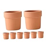 Happyyami 8 Stück Mini Terrakotta Blumentöpfe Für Innen Rustikale Pflanzgefäße Für Sukkulenten Blumenübertopf Ideal Für Zuhause Und Büro Dekorativ Und Pflegeleicht