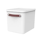 Rotho MyPaper Archivbox Dokumentenorgan. MY PAPER Plus, Kunststoff (PP) BPA-frei, weiss/blau, (40.0 x 29.2 x 29.8 cm)