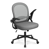 naspaluro Bürostuhl, Ergonomischer Schreibtischstuhl mit Atmungsaktiv Netzbespannung, Hochklappbare Armlehnen, Höhenverstellbarer, Computerstuhl, Leichter Stuhl, 360° Drehstuhl, Dunkelgrau