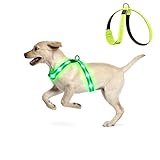 KOSKILL LED Hundegeschirr Wiederaufladbares Beleuchtetes Hundegeschirr Leuchtet Im Dunkeln LED Hundeweste Reflektierend Hundelichter für Nachtspaziergänge Grün M