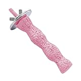 Sittich Sitzstangen | Käfigständer für Vögel | Nagespielzeug Zum Krallenwetzen Und Trainingsspielzeug Für Sittiche Und Nymphensittiche