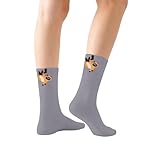 Niedliche Kniestrümpfe mit siamesischem Katzen-Print. Lustige, neuartige Strümpfe für Damen mit skurrilem Tier-Design. Bequeme, dehnbare, weiche Strumpfwaren in Rundhalslänge. (b-Grey, One Size)