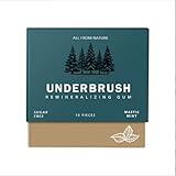 Zuckerfreier Kaugummi | Vegane Xylitol Kaugummis | Daily Oral Freshness,kariespräventiv | für unterwegs | No Aspartame, Mastic Mint, Pack of 1