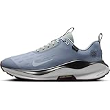 Nike InfinityRN 4 Gore-TEX Wasserdichter Herren Straßenlaufschuh, Ashen Slate/Football Grey-Light Pumice, 43 EU