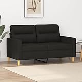 WEMYUFURN 2-Sitzer Sofa aus strapazierfähigem Stoff mit Metallgestell, bequem gepolsterte Sitzfläche und atmungsaktive Rückenkissen für modernes Wohnzimmer, Sitzkomfort Sofalandschaft