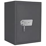 FELGNER Tresor MT Professional 66 K mit Doppelbartschloss | Widerstandsgrad 1 | bedingter Feuerschutz | Als Waffentresor für Kurzwaffen + Munition nutzbar | 2 Fachböden + 2 Schlüssel | Anthrazit