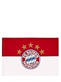 FC Bayern München Fahne | Logo | Rot-Weiß | 90 x 60 cm | Fußball