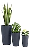 CLP Pflanzkübel groß, 3er Set für außen und innen, Outdoor XXL Blumenkübel rund, wetterbeständig frostsicher in Steinoptik, Winterfest, Farbe:anthrazit