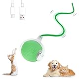 Farerkass Interaktives Katzenspielzeug Ball, Hundespielzeug, Pet Hundeball Elektrisch, Smart Automatisch Rollender Ball für Katzen und Welpe (Grün)