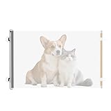 Ancsttu Katzengitter Für Türen,Sicherheitsbarriere Ausziehbar | Sicherheitsgitter Für Haustiere - Für Küche Schlafzimmer Flur Garage Wohnzimmer Wohnung Kätzchen Welpe Tiere