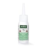 AniForte Ectoprotex cat Spot On für Katzen 50 ml - Zeckenschutz & Parasitenabwehr, langanhaltendes Repellent zur Abwehr von Zecken, Flöhen, Milben, Effektive Zeckenabwehr