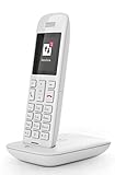 Telekom Speedphone 11 (mit DECT Basis und Anrufbeantworter - wahlweise nutzbar am IP Anschluss oder am analogen a/b Port) weiß