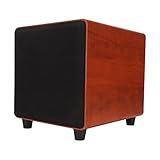 25,4 cm Aktiver Subwoofer, Subwoofer-Lautsprecher, universelle unabhängige Anpassung, 300 W Wärmeableitung, für den Innenbereich (US-Stecker 100-240 V)