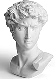 Garwor David Statue Kopf Skulpturen 15,2 cm Michelangelo David Büste Figur Klassische griechische römische Büste Wohnkultur Büro Dekor