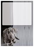 DIN A4 Hundemotive Briefpapier mit Hund - Papier Hunde - 20 Blatt - Motiv Nr. 246 | 90g/m²