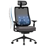 COLAMY XK01 Atlas Ergonomischer Bürostuhl, Netz-Chefsessel mit verstellbarem Kopfstütze, Computer Schreibtischstuhl Drehstuhl mit 4D-Armlehnen, Nylonbasis/Schiebesitz/Neigungssperre, Dunkelgrau