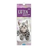 TRÖTSCH - Streifenkalender Katzen 2026 | Notizkalender: Wandkalender Notizkalender
