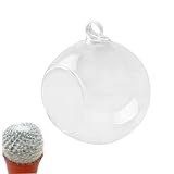 VOSAREA 1stk Terrarium Mit Hängenden Pflanzen Moosdekor Halter Terrarium Saftige Luftvase Klare Kugelvase Klarer Behälter Sukkulenten-übertopf Elegantes Dekor Nordische Vase Pflanzen Dekor