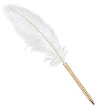 hejhncii Retro weißer Feder-Kugelschreiber, exquisiter Siganture-Stift, nachfüllbarer Kugelschreiber für Hochzeit, Büro, Geschäft, Geschenk, Kugelschreiber, schwarze feine Spitze