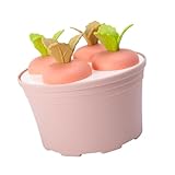 Eisform, Eisformen, 4/6 Hohlräume Eisform | Set mit einfach zu lösenden Eisformen, wiederverwendbare Eisform für hausgemachte Eiscreme