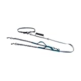 Hundeleine Hundeleine Doppelleine Laufen Gehen Elastizität Hand frei verstellbare Leinen Haustier Hundeleine (Farbe: Blau für 2 Hunde)
