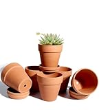 vensovo 10cm Terrakotta-Töpfe mit Untertasse - 6er-Pack Tonblumentöpfe mit Drainage, ideal für Pflanzen, Kunsthandwerk, Hochzeitssouvenir (10,16 cm Durchmesser)