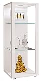 VCM Holz Glas Vitrine Sammelvitrine Glasvitrine Schaukasten Standvitrine Glasol M Weiß