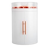 Pilipane Schmuck-Aufbewahrungsbox, großes Fassungsvermögen, 5 Ebenen, Mini-Schmuckschrank mit Doppeltüren, transparentes Tablett, vergoldeter Griff für Schmuck, künstliche Nägel, Kosmetik, (Weiß)