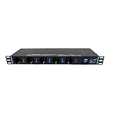 Infitronic - INSV1013A -19 Zoll 1HE 13 Fachs Steckdosenleiste Stromverteiler Netzwerkschrank-Steckdosenleiste einzeln Schaltbar mit Überspannungsschutz