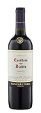 Casillero del Diablo Merlot Trocken (1 x 0.75l)
