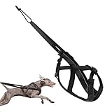 Hundegeschirr zum Ziehen, reflektierendes Laufgeschirr, bequemer, verstellbarer Gurt für Spaziergänge, , Sport, Training, Schlitten, Ziehen im Freien