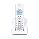 ALCATEL F530 - Schnurloses Festnetztelefon DECT - Großes beleuchtetes Display - Freisprechfunktion - Anrufblockierungsfunktion - 2 Direktwahltasten - Weiß/Grau