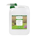 BodenLiebe RASENBLITZ Sommerdünger Nachfüllpack – 20 L für 1000–2000 m², flüssiger Bio-Rasendünger bei Trockenstress, für große Flächen, sicher für Kinder & Tiere