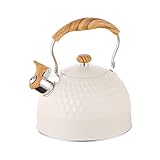 Flötenkessel für Herdplatte, schnell kochender Teekessel, elektrischer Brenner, 2,5 l, für Gas, Elektro und Induktion, ideal für Zuhause, Wohnung, Restaurant, Küche und Camping