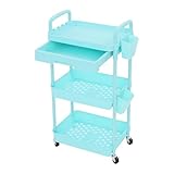 czyuRachel Rollwagen Schmal, Küchen Nischenwagen mit 3 Ebenen, Küchenwagen mit 5 Haken und 2 Hängeschalen, Badrollwagen, Mehrzweckwagen, 40x30x76 cm, Blau