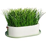 Genérico Blumentopf für Katzengras, Hydrokultur, Anzuchtstation für Haustiere, für Kratzbaum, Haus, Indoor-Käfig, Katzen, Haustiere