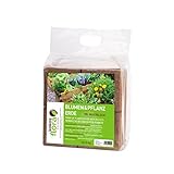 KOKOSFLORA Kokoserde – 70L Maxiblock – Blumenerde- Torffrei - Ideal Für Drinnen Und Draussen. Geeignet Für Kübelpflanzen, Zimmerpflanzen, Balkonkästen Und Gartenbeete (1 x 5 Kg - 70 L Kokoserde)