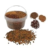 Teichfutter im Eimer für Teichfische, Verschiedene Sorten für Goldfische, Kois, mit Sticks, Flocke, Goldfischperlen, Koipellets (3,5 L Eimer, Koifutter mit Naturfutter)