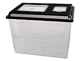 Neu PET-Plaza Kunststoffbox - Faunarium - Kunststoffterrarium - Faunabox - Insektenbox - Insektenterrarium - Box für Futterinsekten (46 x 30,5 x 33,5cm)