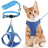 FIHODONE Katzengeschirr mit Katzenleine Katzenhalsband, Katzengeschirr mit Leine Ausbruchsicher, Cat Harness Verstellbar, Katzenleine mit Geschirr für Katzen Orange mit Reflexstreifen (S, Blau)