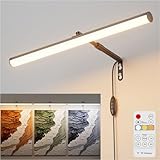 irotine Schwarz Bilderleuchte mit Fernbedienung Plug in,4W Dimmbare Bilderlampe Plugin mit Timer,3000K-6000K Bild Beleuchtung,Drehbares Bilderrahmen Beleuchtung,LED Bildbeleuchtung