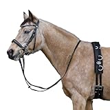 CALEVO - Nylon Longiergurt Training