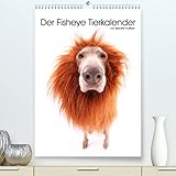 Der Fisheye Tiere Kalender (Premium, hochwertiger DIN A2 Wandkalender 2023, Kunstdruck in Hochglanz)