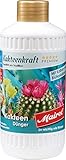 Mairol Kakteen-Dünger Kakteenkraft Liquid 500 ml