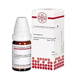 DHU Echinacea D12 Streukügelchen, 10 g Globuli