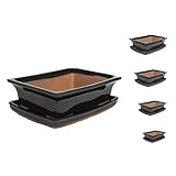 Keramik Bonsai Topf in verschiedenen Größen - Schwarz - Hochwertiger Blumentopf mit Untersetzer Schale Banzai Bonsai Bonsai Indoor/Outdoor (15 x 10 x 5 cm)
